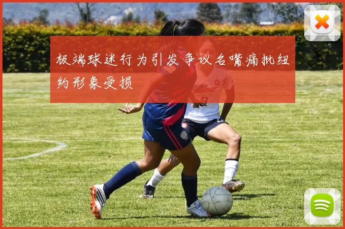 极端球迷行为引发争议名嘴痛批纽约形象受损