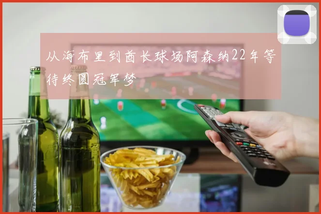 从海布里到酋长球场阿森纳22年等待终圆冠军梦